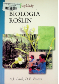 Biologia roślin
