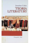 Teoria działania