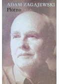 Płótno