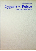 Cyganie w Polsce Dzieje i obyczaje