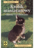 Królik miniaturowy opieka i wychowanie