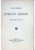 Żywoty drzew 1929 r.