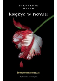 Księżyc w nowiu