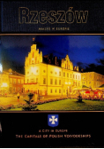 Rzeszów. Miasto w Europie