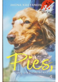 Pies, który nas odnalazł
