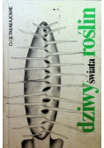 Dziwy świata roślin