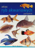 Ściąga z języka polskiego