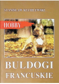 Buldogi francuskie Hobby