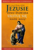 Jezusie synu Dawida ulituj się nade mną
