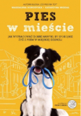 Pies w mieście
