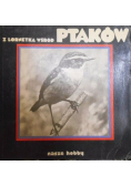 Z lornetką wśród ptaków