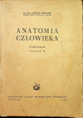 Anatomia człowieka