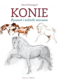Konie Rysunek i techniki mieszane