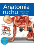 Anatomia ruchu