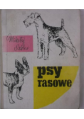 Psy rasowe
