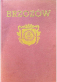 Brzozów