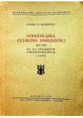 Górnośląska ochrona mniejszości 1938 r.