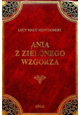 Ania z Zielonego Wzgórza