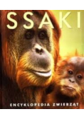 Ssaki encyklopedia zwierząt