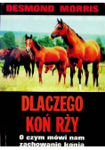 Dlaczego koń rży