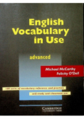 English Vocabulary in Use