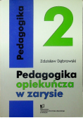 Pedagogia opiekuńcza w zarysie, Tom 2