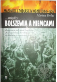 Między Bolszewią a Niemcami