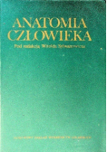 Anatomia Człowieka