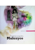 Krajobraz pogodny Malczyce