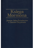 Księga Mormona Jeszcze jedno świadectwo o Jezusie Chrystusie