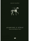 Aforyzmy z Zurau