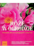 Róże w ogrodzie Poradnik dla początkujących i znawców