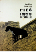 Pies Antyczny przyjaciel