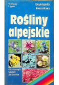Encyklopedia kieszonkowa Rośliny alpejskie