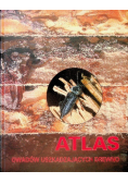 Atlas owadów uszkadzających drewno