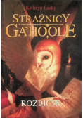 Strażnicy Ga Hoole Rozbicie