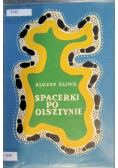 Spacerki po Olsztynie