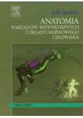 Anatomia narządów wewnętrznych i układu nerwowego człowieka