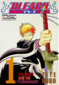 Bleach Tom 1
