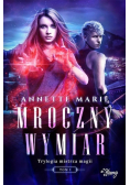 Trylogia mistrza magii Tom 1 Mroczny wymiar