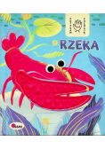 Rzeka