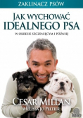 Jak wychować idealnego psa
