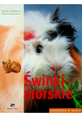 Świnki morskie