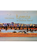 Łomża w Dolinie Narwi