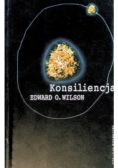 Konsiliencja