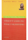 Strach w zameczku