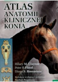 Atlas anatomii klinicznej konia