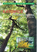 Katowice przyroda miasta