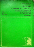 Historia teatrów ludowych Polskie zespoły zawodowe