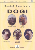 Dogi psy bojowe świata